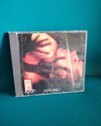 CD RAF 