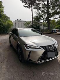 Lexus UX 250