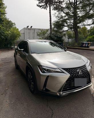 Lexus UX 250