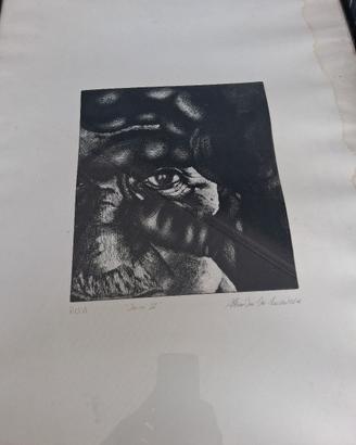 disegno A.De laurentis