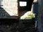 Immagine 13