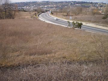 Terreno agricolo campobasso tangenziale