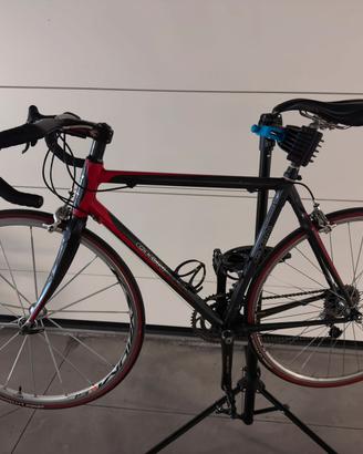 Bici da corsa Gion in Carbonio