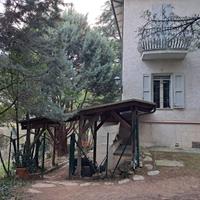 tettoia pergolato, legno trattato