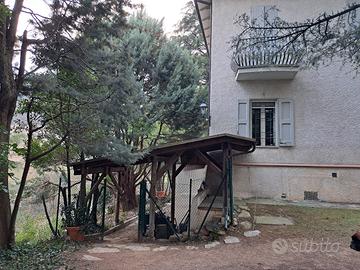 tettoia pergolato, legno trattato