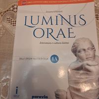 Luminoso orae