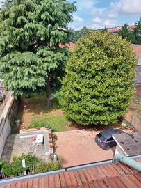 Stanza per studentesse universitarie