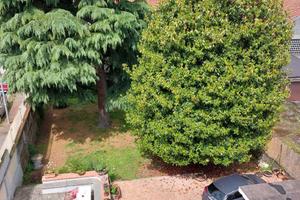 Stanza per studentesse universitarie