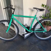 Mountain bike robusta