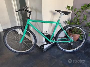 Mountain bike robusta