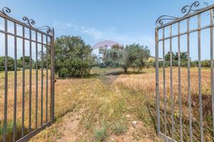Casa Indipendente - Caltagirone