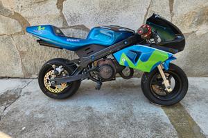 mini moto
