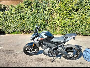 CF moto300nk
