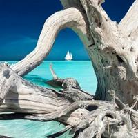 Casa fronte mare stintino sardegna