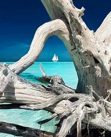 Casa fronte mare stintino sardegna