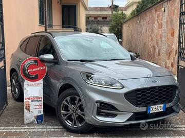 Ford Kuga 1.5 EcoBlue 120 CV aut. 2WD ST-Line Desi