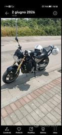 Honda hornet 600