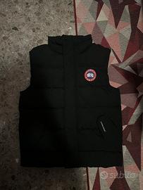 Smanicato Canada Goose