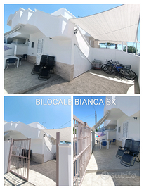 Bilocali nuova ristrutturazione torre lapillo