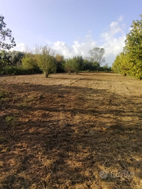 Terreno agricolo zona Titignano
