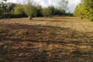 Terreno agricolo zona Titignano