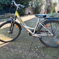 Bicicletta pegasus