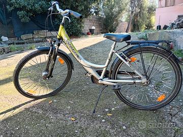 Bicicletta pegasus