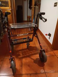 Deambulatore 