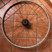 Ruota posteriore Ambrosio palmer