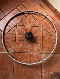 Ruota posteriore Ambrosio palmer