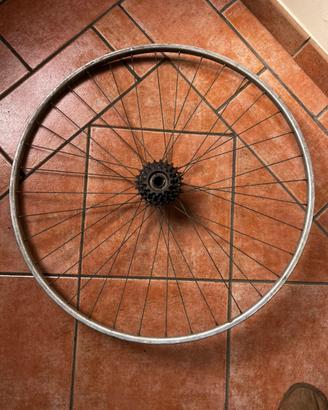 Ruota posteriore Ambrosio palmer