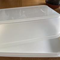 Contenitore o portaformaggi Tupperware