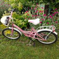 Bicicletta bambina