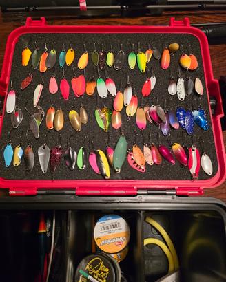 lotto Trout area
