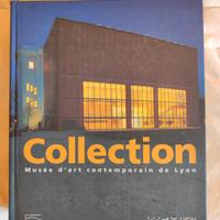 Collection Musée d'art contemporain de Lyon