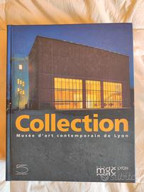 Collection Musée d'art contemporain de Lyon