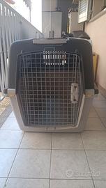 Kennel 
