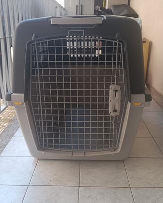 Kennel 