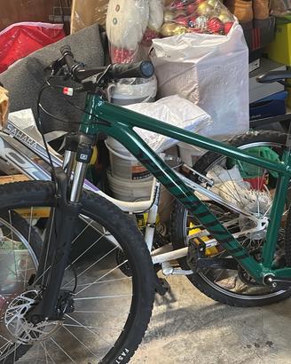 Specialized rockhopper 2024