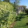 villa-o-villino-roccamonfina-cod-rif5993136vrg-