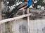 Immagine 2