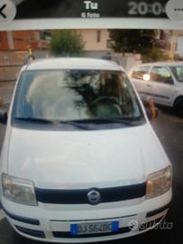 panda affidabile  perfetta 