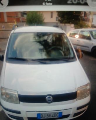 panda affidabile  perfetta 