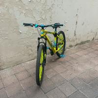 bici mtb