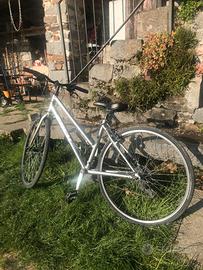 Bici da donna TREK FX series
