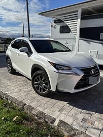 LEXUS NX Hybrid 4WD Executive