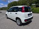 fiat-panda-1-2-easy-neopatentati