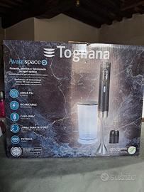 Frullatore ad immersione Tognana 