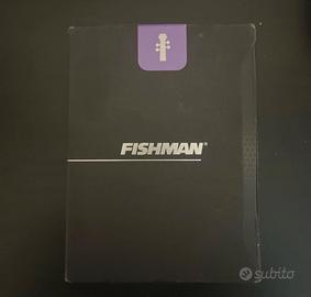 Fishman v-200 pickup