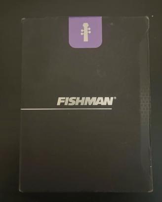 Fishman v-200 pickup